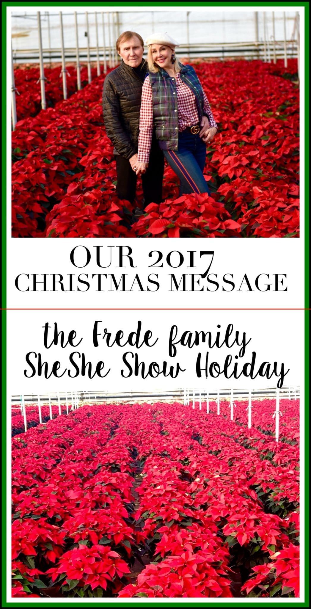 sheshe show, christmas, holiday, frede, 
