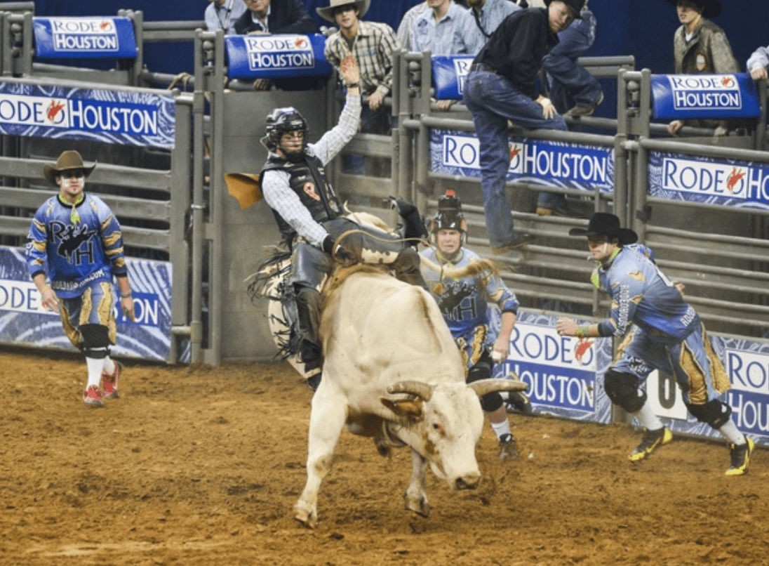 rodeo houston finals