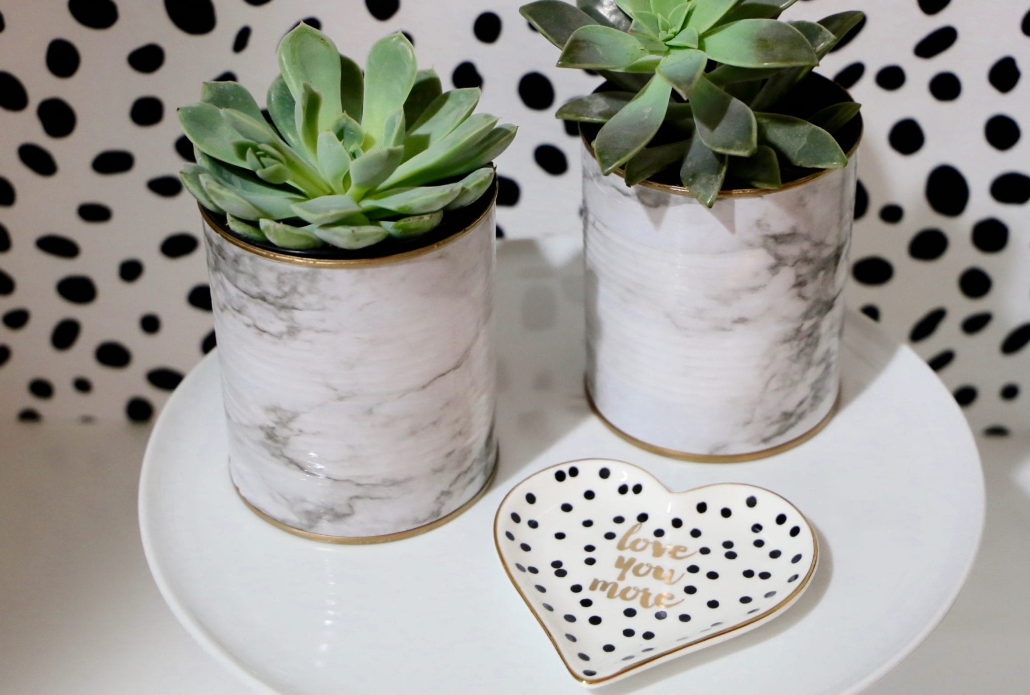 plants, succulents planter, marble planter, home, garden,