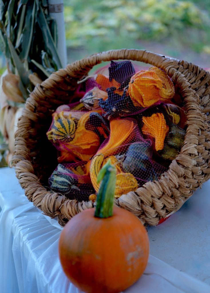 Fall decor, texture rattan, pumpkins, fall decorations, fall decorating tips,