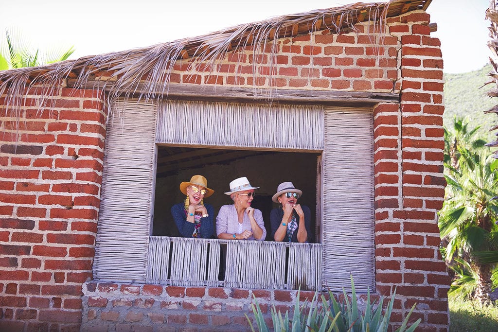 Playa las Palmas, sugarcane, Todos Santos, 