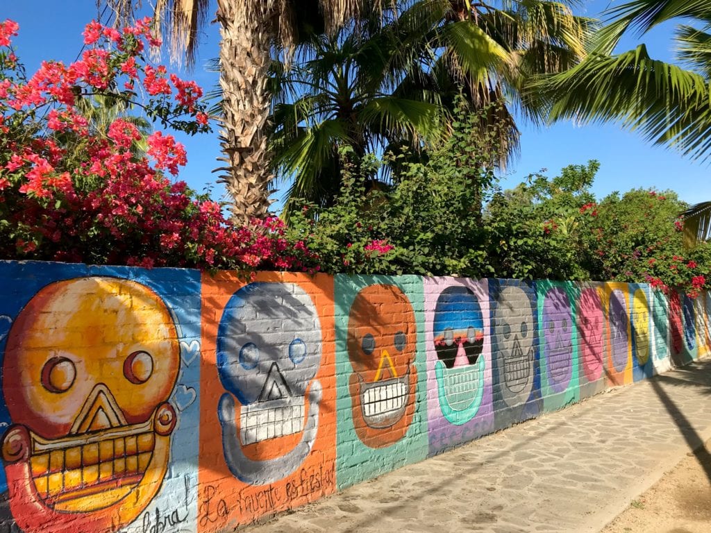 Day of the Dead wall, mural, Todos Santos