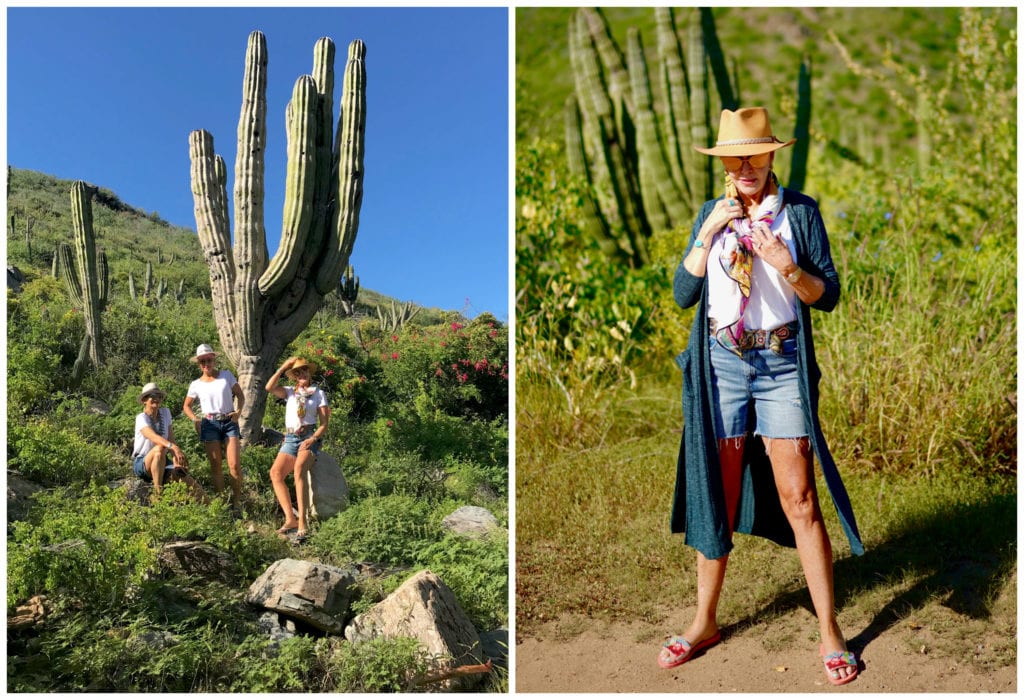 Playa las Palmas, sugarcane, Todos Santos, baja desert