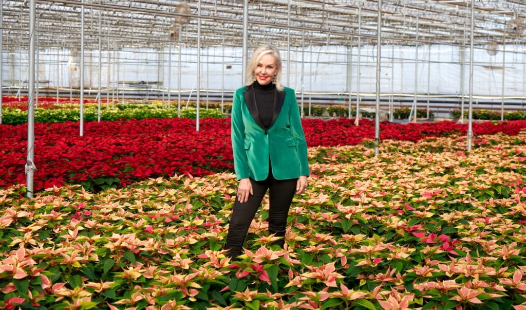 Hoiday style, velvet jackets, velvet, poinsettias, Popes Plant Farms, greenhouse, holiday fashion 