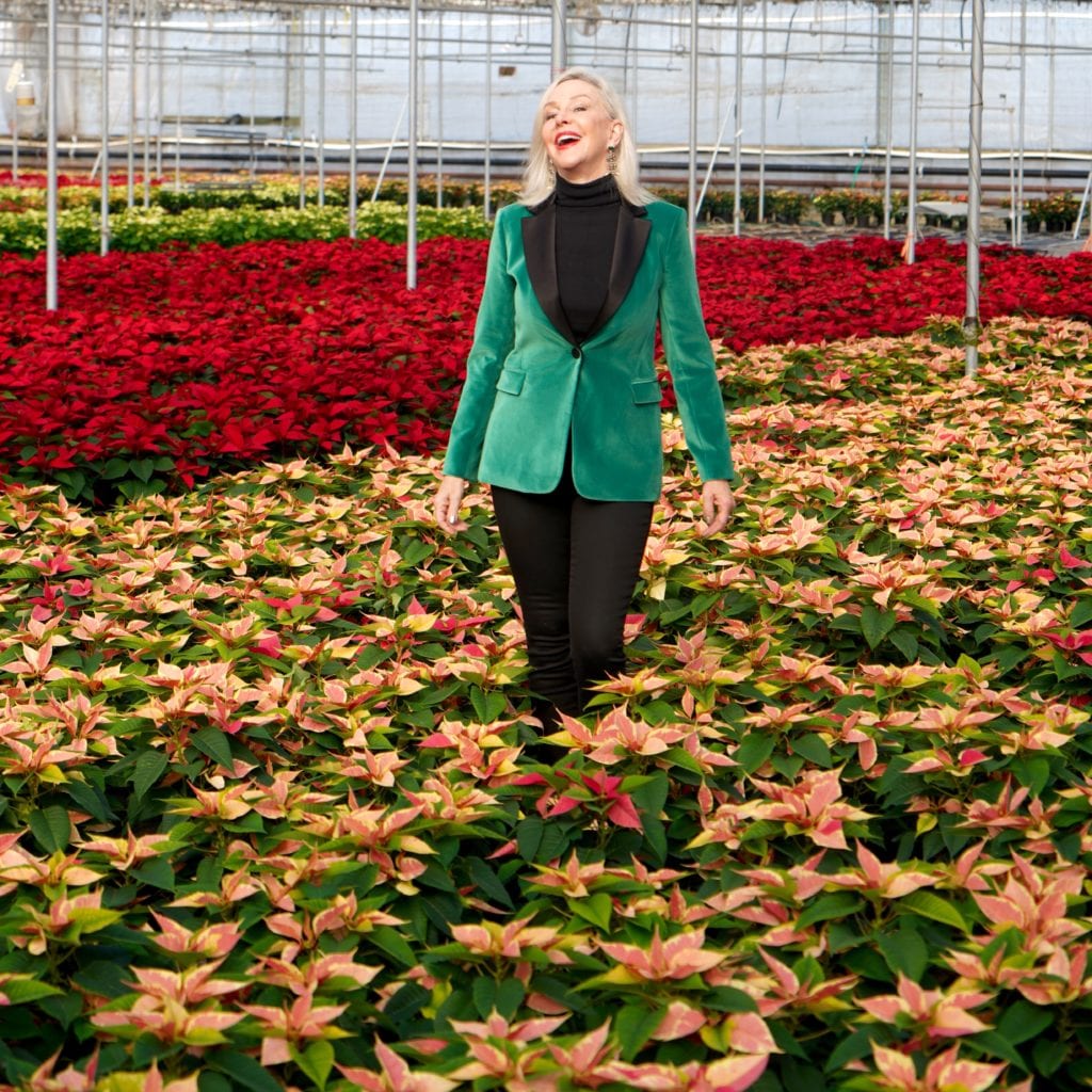 Hoiday style, velvet jackets, velvet, poinsettias, Popes Plant Farms, greenhouse, holiday fashion 