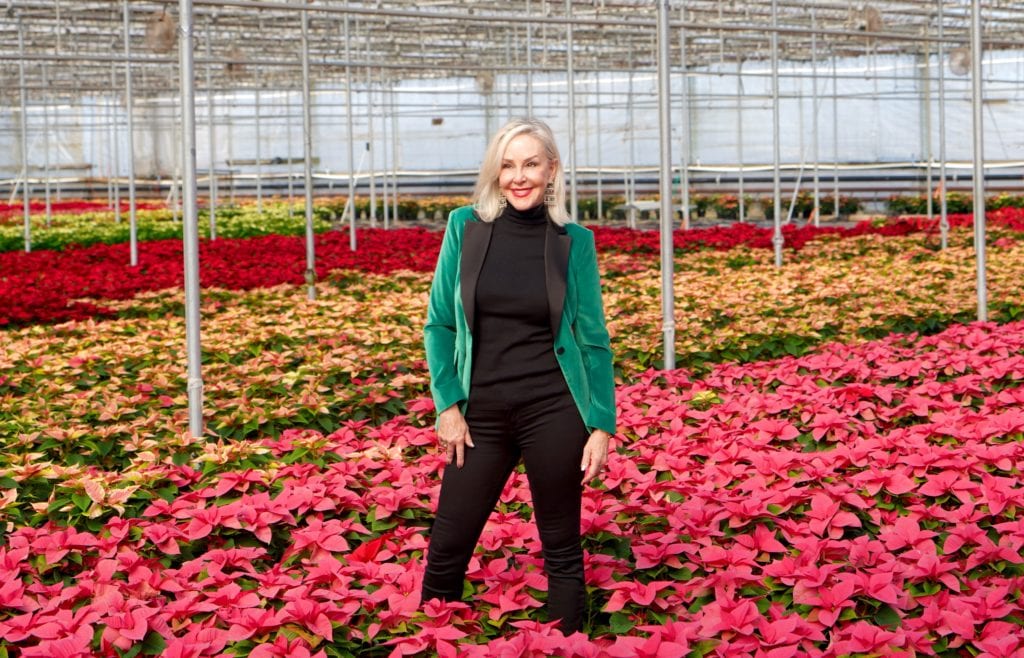 Hoiday style, velvet jackets, velvet, poinsettias, Popes Plant Farms, greenhouse, holiday fashion 