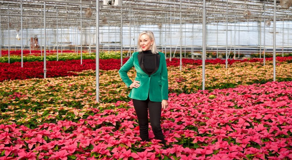Hoiday style, velvet jackets, velvet, poinsettias, Popes Plant Farms, greenhouse, holiday fashion 