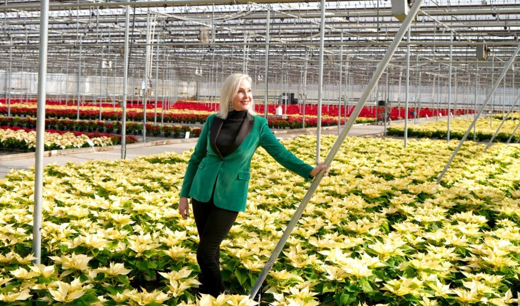 Hoiday style, velvet jackets, velvet, poinsettias, Popes Plant Farms, greenhouse, holiday fashion 