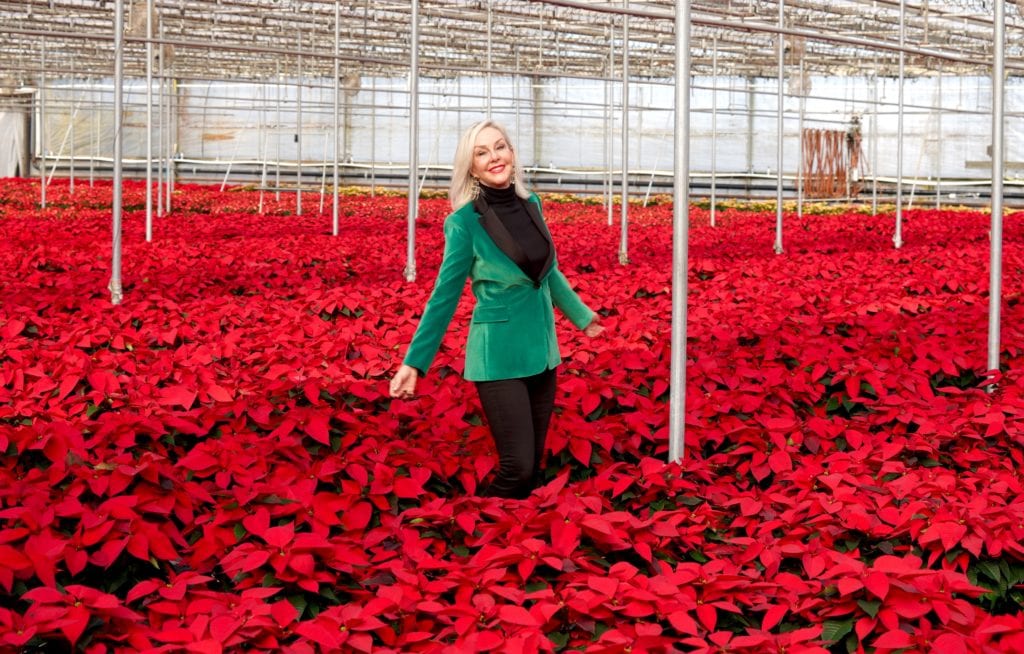 Hoiday style, velvet jackets, velvet, poinsettias, Popes Plant Farms, greenhouse, holiday fashion 