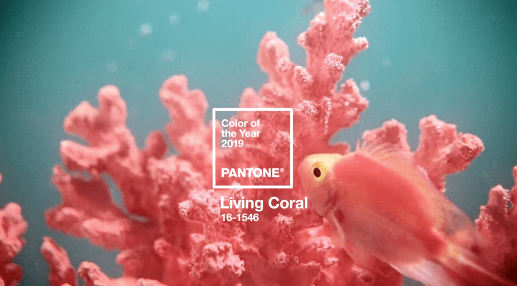 coral, pantone color of the year, pantone 2019