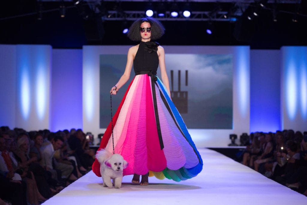 Runway show with Le Chien dogs