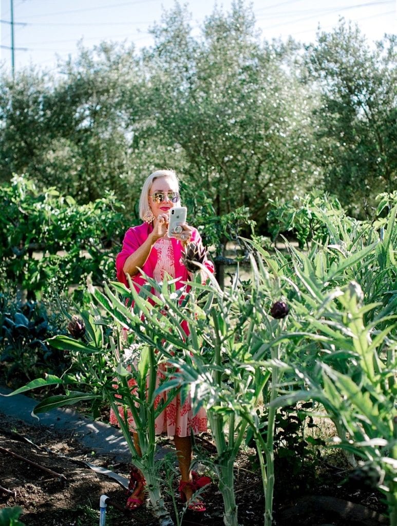 SheShe in the garden