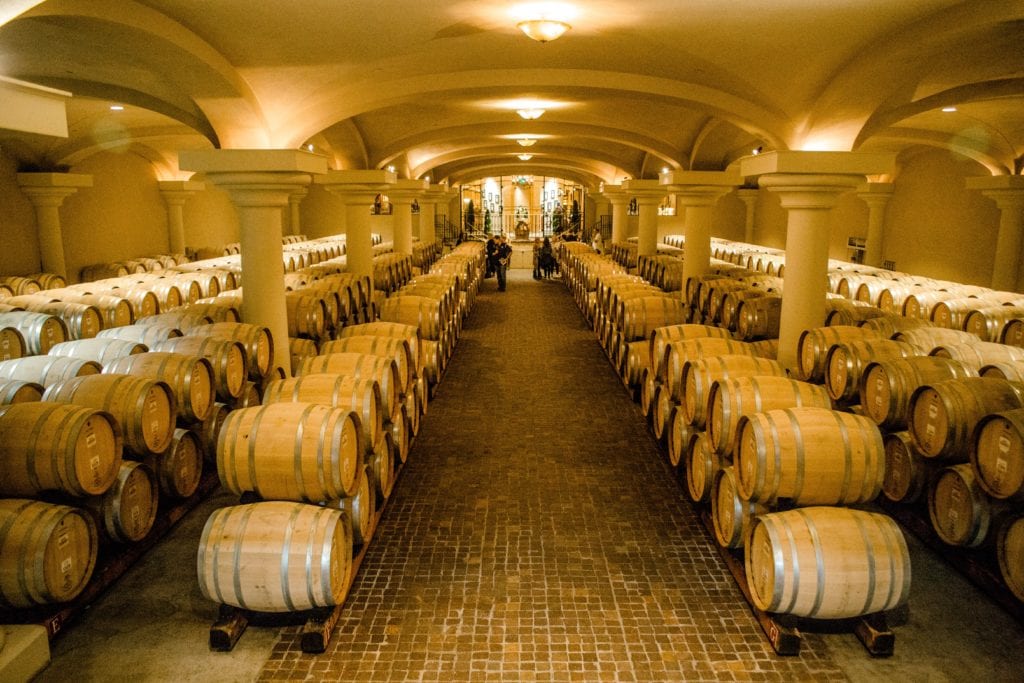 wine barrels-Ferrari Carrano Vinyard