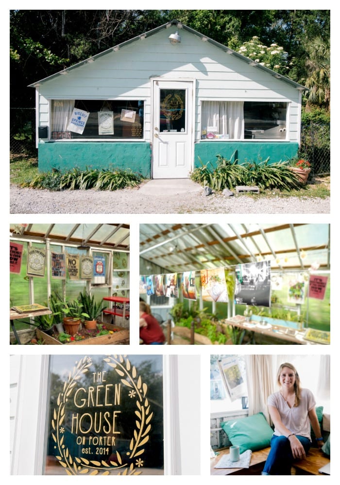 greenhouse-plants-picnic table