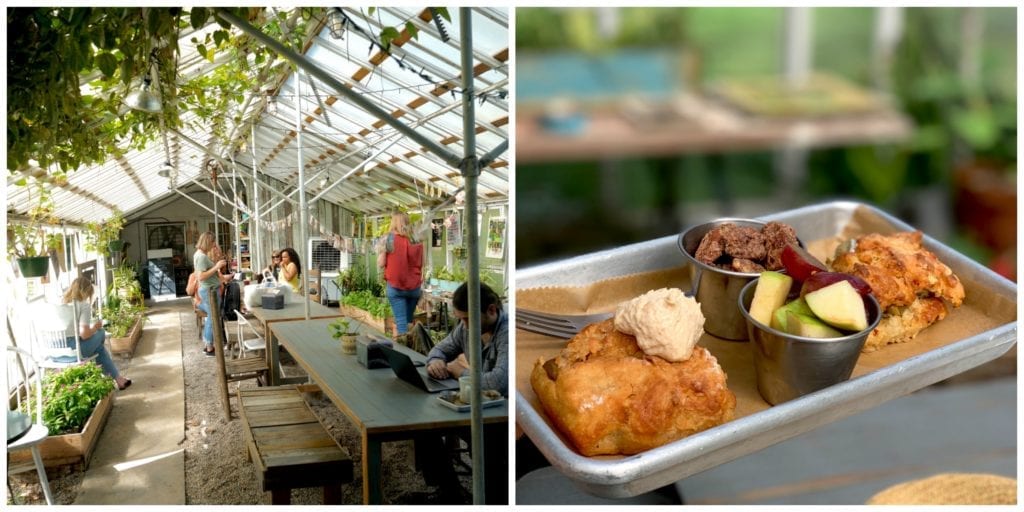 greenhouse-plants=breakfast-restaurant