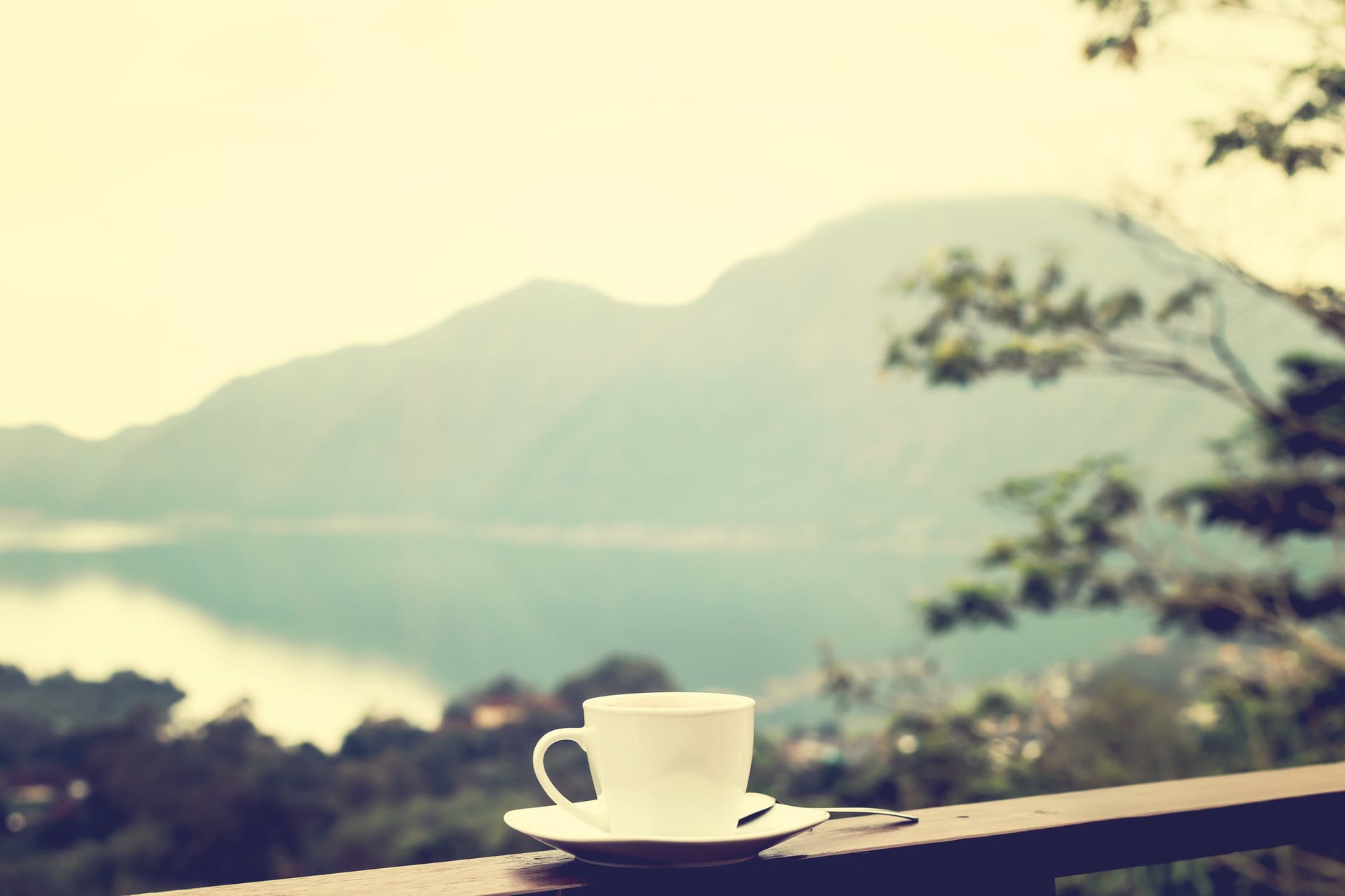 coffee cup mountains, lake