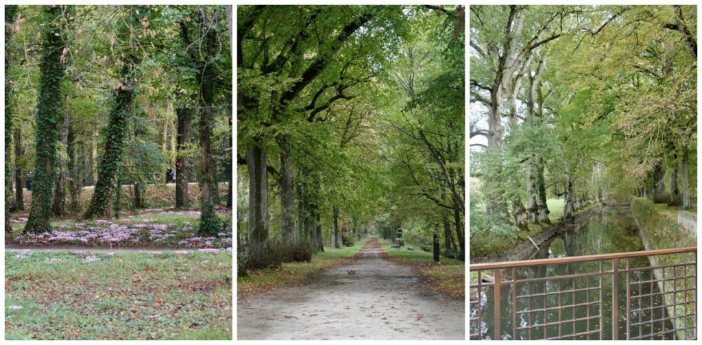 The grounds of Chateau in Loire Valley