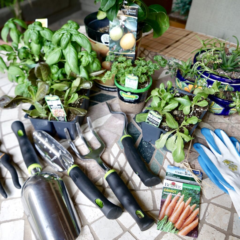 Garden tools and plants