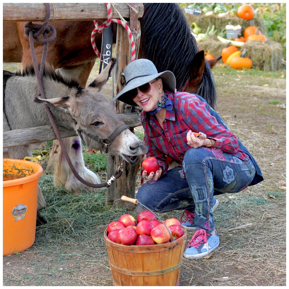 Sheree Frede of the SheSheShow feeding a couple of horses apples