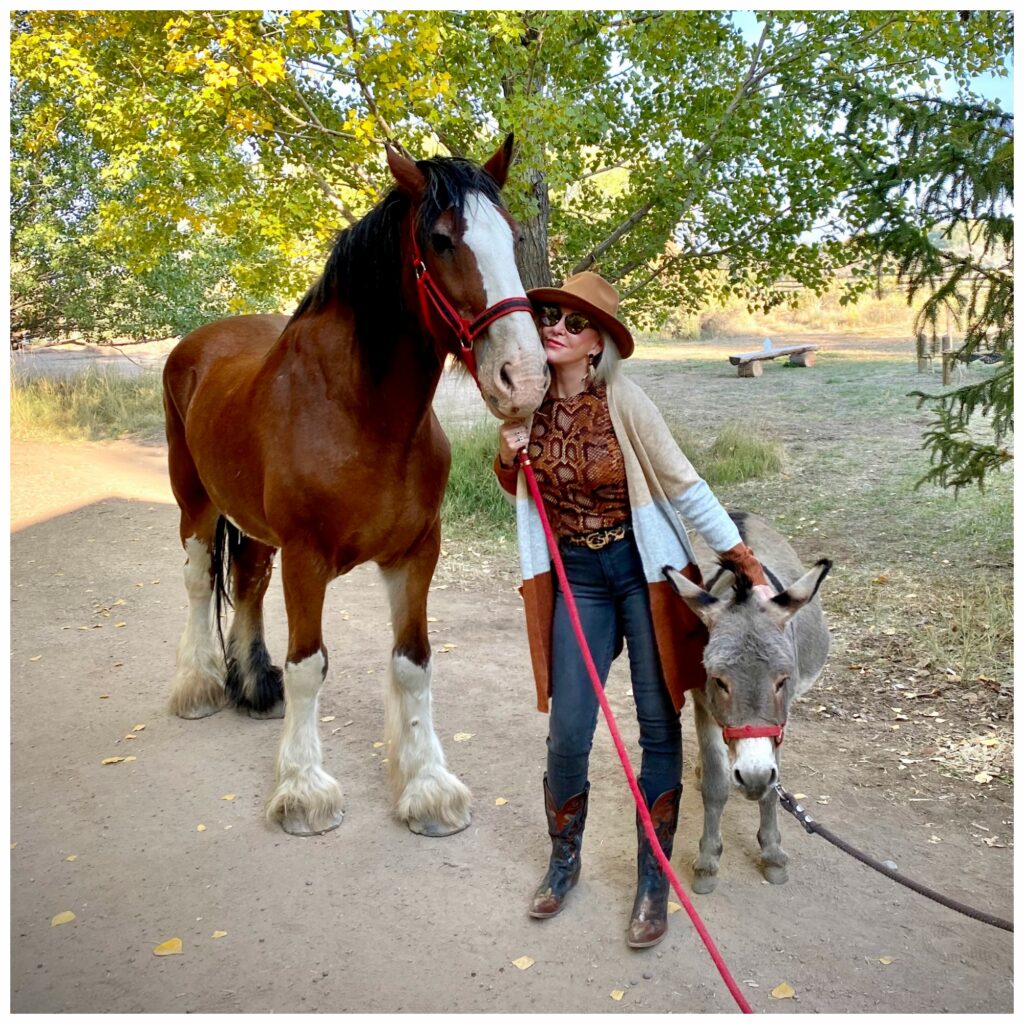 Sheree Frede of the SheShe Show standing between a Clydesdale horse and a miniature donkey wearing jeans and long cardigan