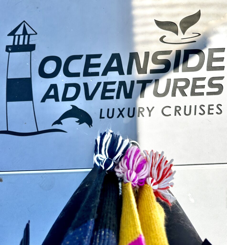 Oceanside Adventures Luxury cruisses