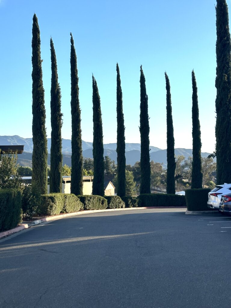 Temecula, CA- Leoness Winery