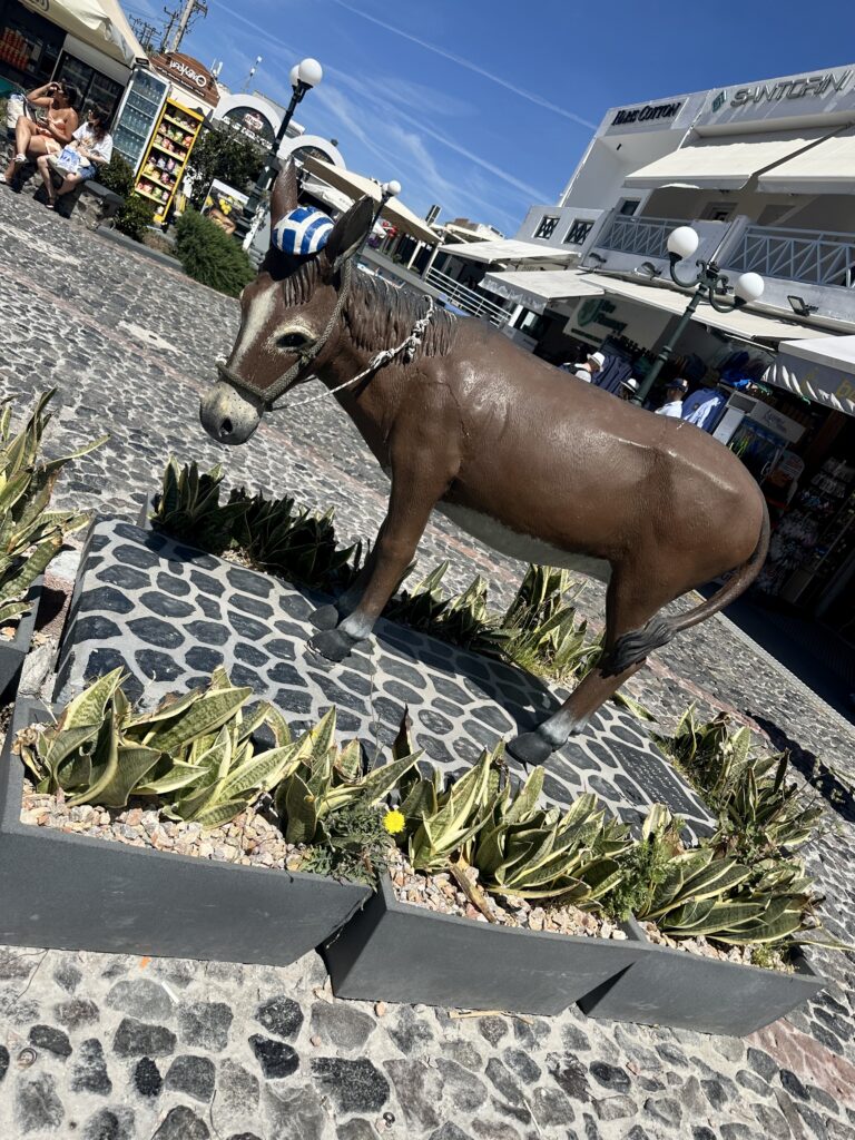 Donkey in the main square in Fira Santorini